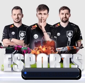 NG Sports中文官网 APP 界面