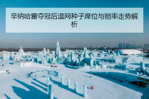 辛纳哈雷夺冠后温网种子席位与赔率走势解析
