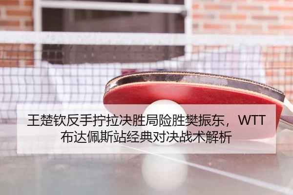 wang-chu-qin-fan-shou-ning-la-jue-sheng-ju-xian-sheng-fan-zhen-dong-bu-da-pei-si-zhan-jing-dian-dui-jue-zhan-shu-jie-xi-3-542.jpg